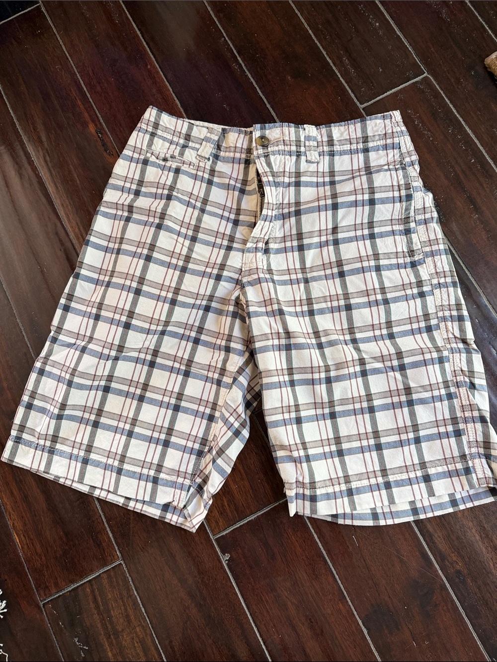 American Eagle Outfitters Plaid Cotton Men's Shorts in Cream and Blue